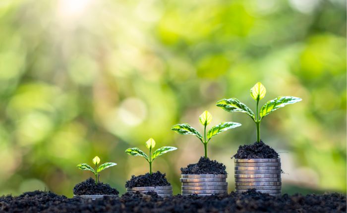 Developing Growth Mindset at Workplace